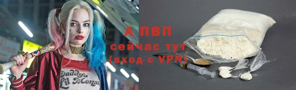 Альфа ПВП Кущёвская