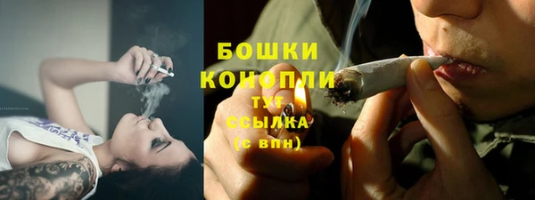 PSILOCYBIN Пестово