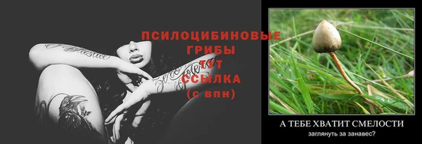 гашик Переславль-Залесский