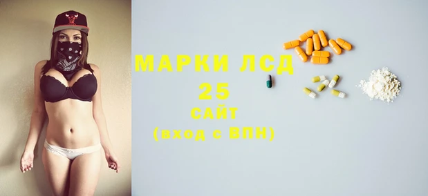 PSILOCYBIN Пестово