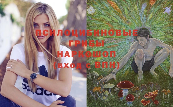 прущие крисы Пересвет