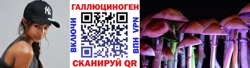 как найти наркотики  Поронайск  Псилоцибиновые грибы ЛСД 